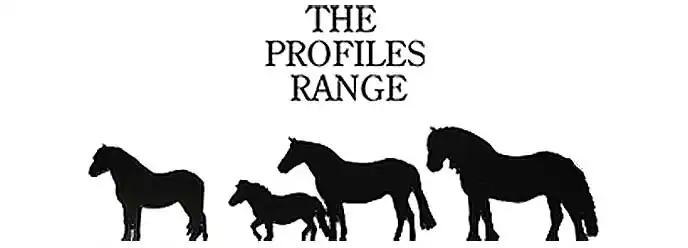 The Profiles Range Schmiedekunst